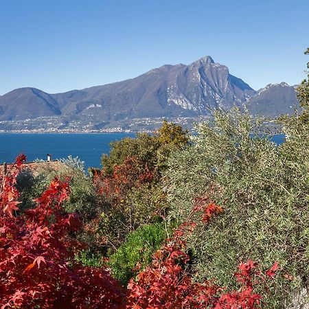 Villa Loncrino - Fine Living Torri Del Benaco Exterior photo